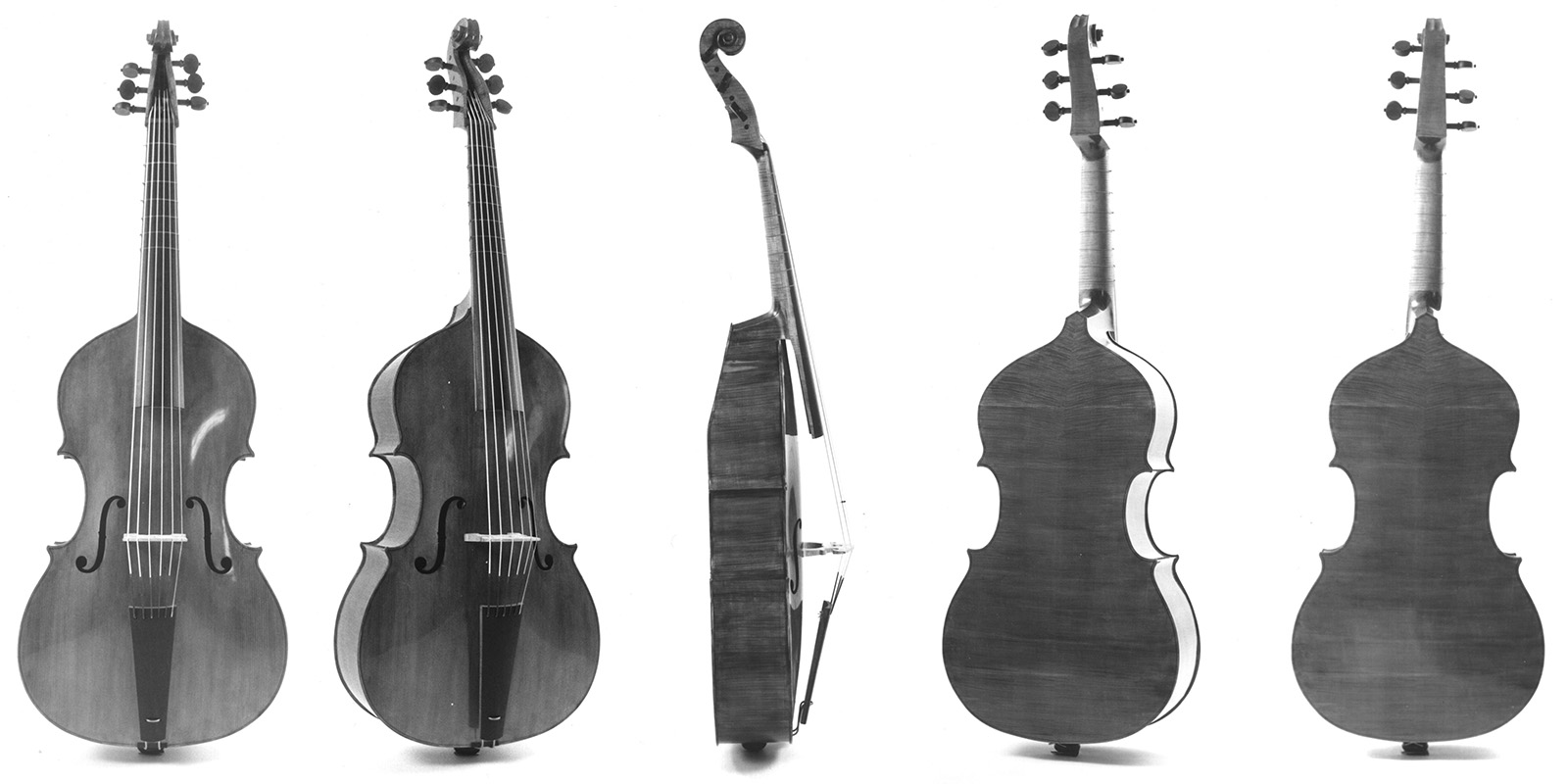 violone